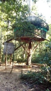 Amazon - eco building - tree house, voluntouring, volunteer programs abroad, volunteering opportunities, voluntourism, volunteers, volunteer team, food and accommodation