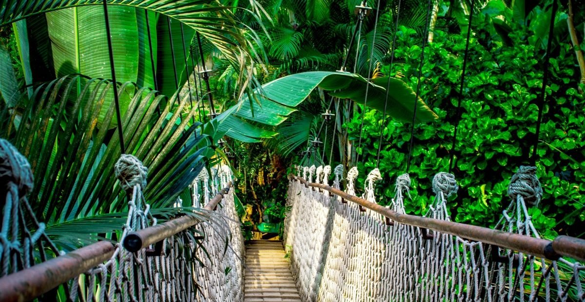 voluntouring, volunteer programs abroad, volunteering opportunities, voluntourism, volunteers, volunteer team, food and accommodation