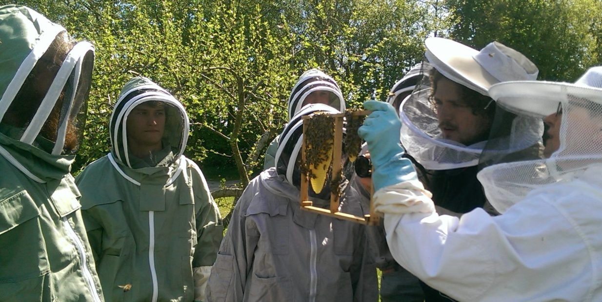 Free school, bees, farm, farming, voluntouring, voluntourism, volunteering