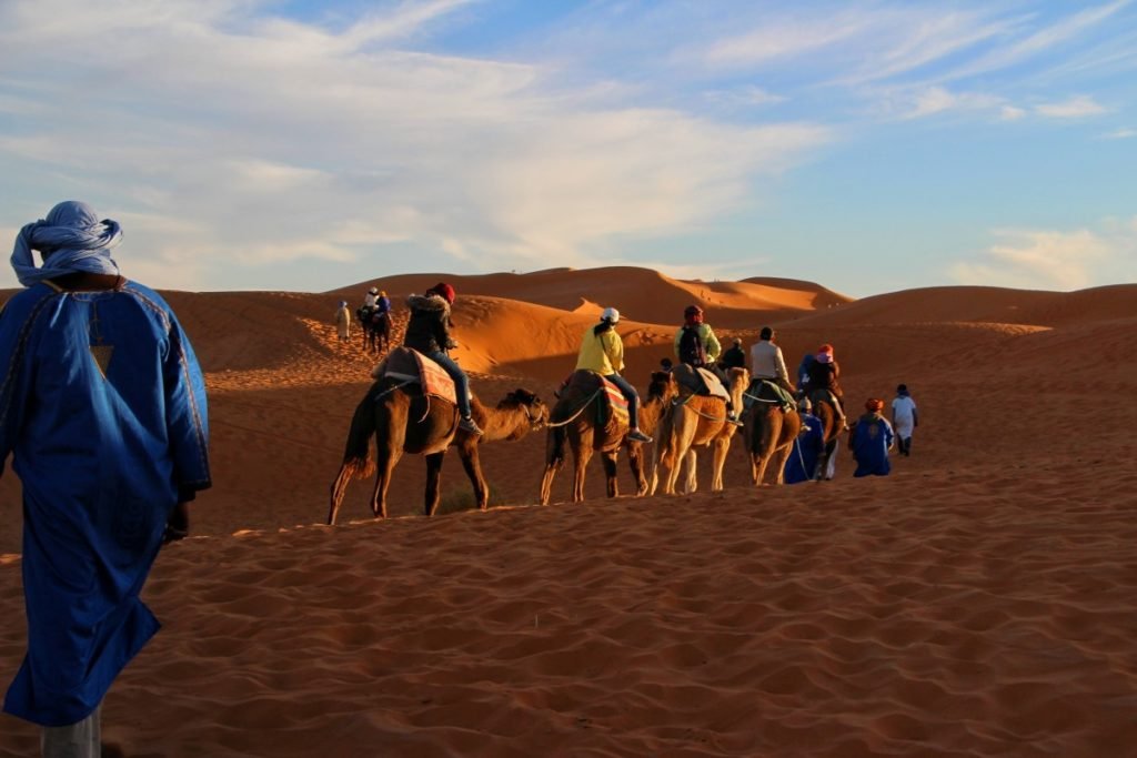 trip_adventure_camel_caravan_sahara_golden_sands_travelling_morocco