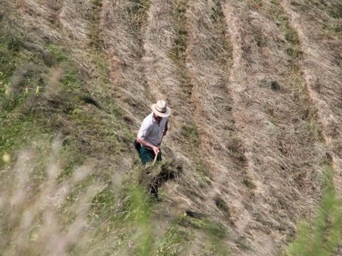 Volunteering in Italy