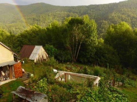 free wwoof, free workaway