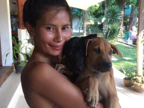 Smiling volunteer at Happy Dogs Koh Chang in Thailand holding two rescue puppies at the dog shelter.
