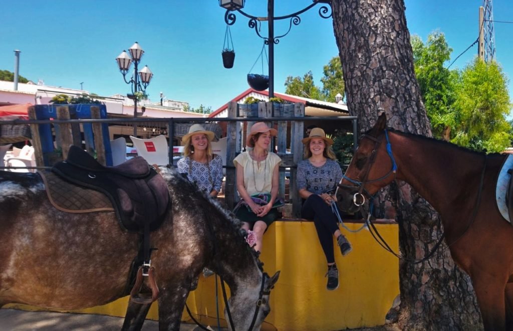 Volunteer at a horse ranch in Spain, Andalucia