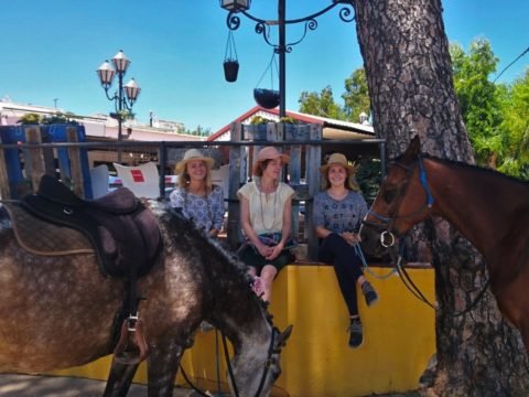 Volunteer at a horse ranch in Spain, Andalucia