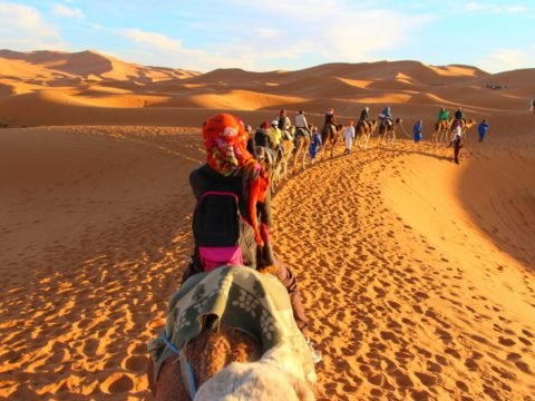 camel caravan with tourists riding through golden Sahara Desert sand dunes at sunset in Morocco, guided by locals in traditional blue attire