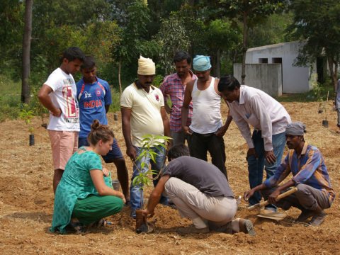 toranam, volunteering in India