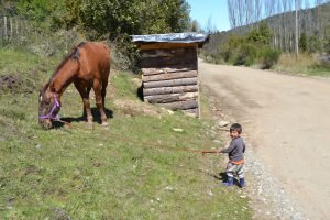 horse tour in south america