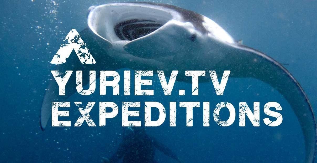 Yuriev TV Expeditions banner with a manta ray