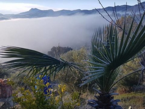 volunteer in Andalucia