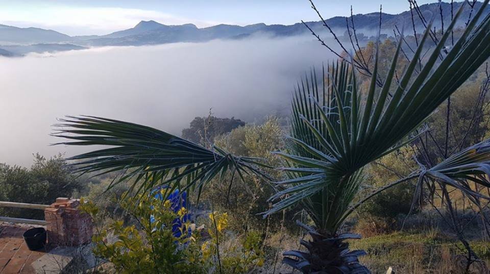 volunteer in Andalucia