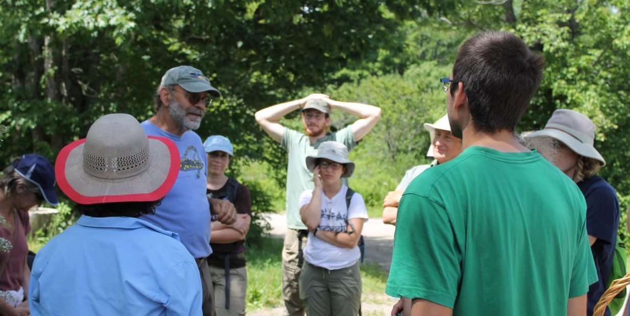 permaculture, farm, organic farm, volunteering, food and accommodation, free, hospitality exchange, voluntouring