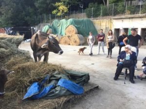 volunteering in Tuscany - meditation retreat