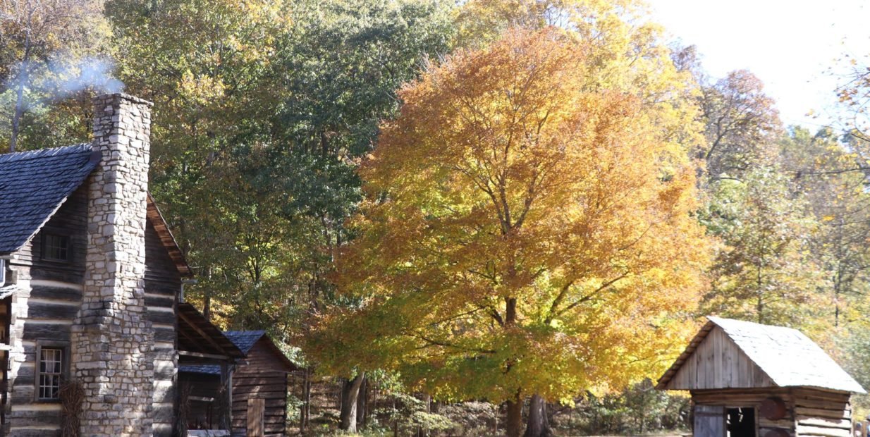 Friends of Land Between The Lakes Association