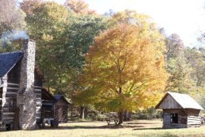 Friends of Land Between The Lakes Association