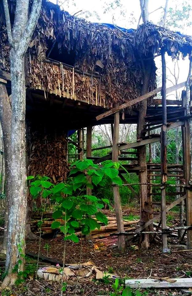 Indonesia, treehouse, eco building, volunteer