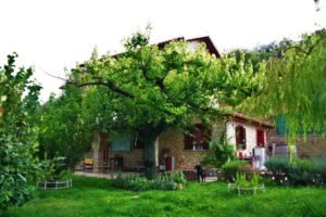 Tivoli, workaway, helpx, wwoof, hospitality exchange, help exchange, work exchange, Italy exchange, room and board