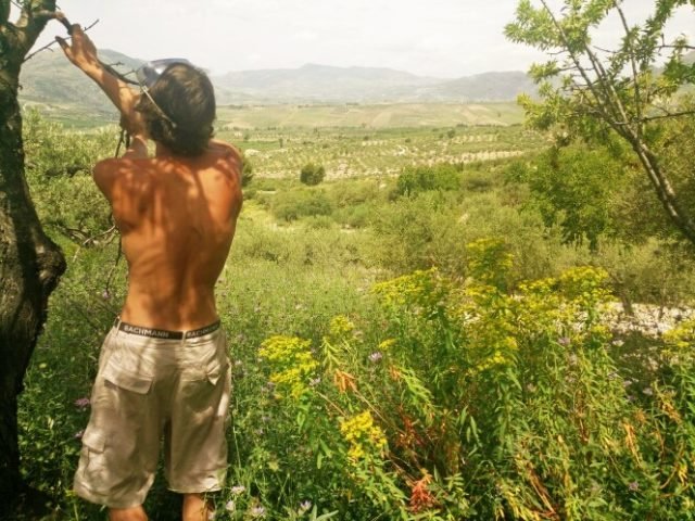 free workaway, free wwoof, free wwoofing, host in Sicily, volunteer exchange, au pair, wwoof, wwoofing