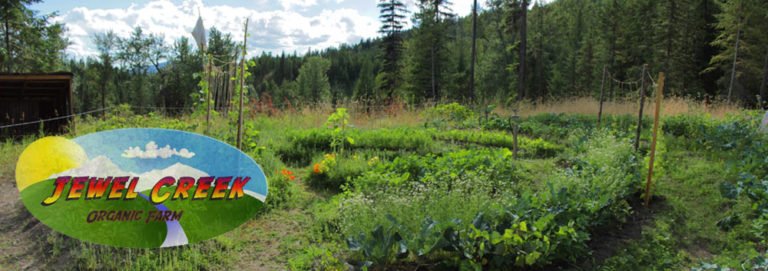 Jewel Creek Organic Farm and EcoVillage in Canada banner