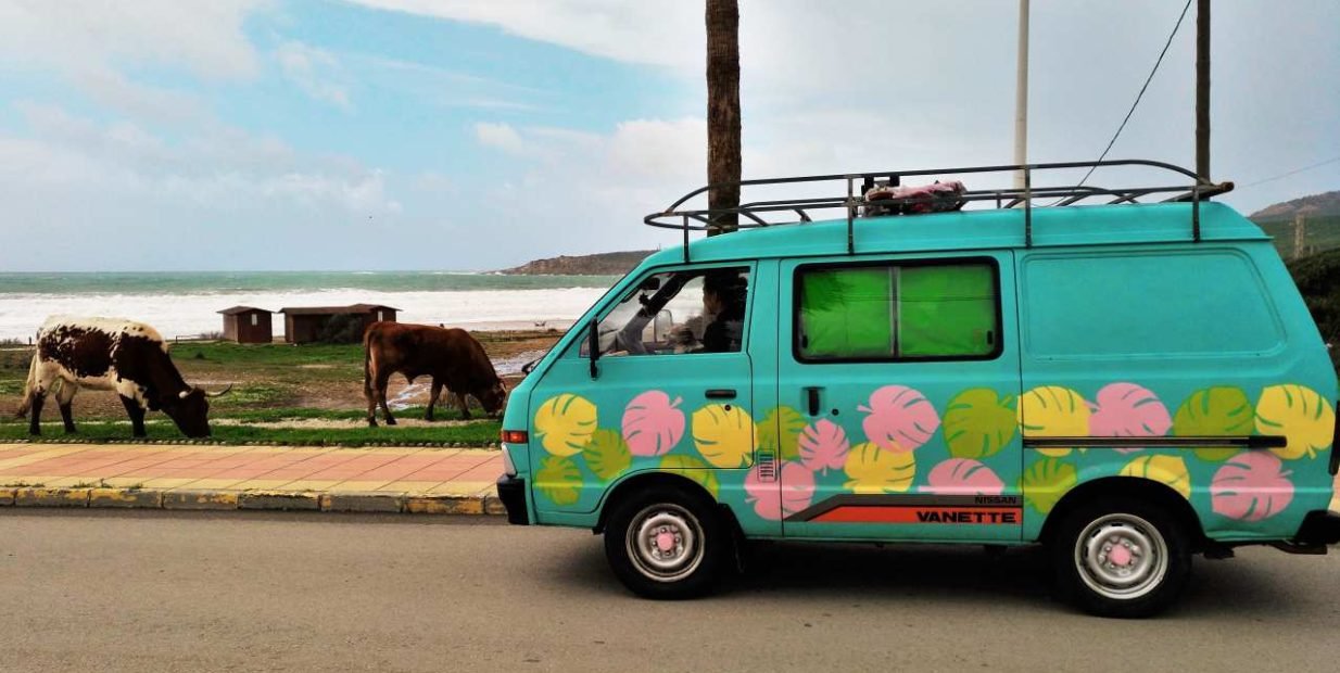 2 girls 1 van, 2 girls, volunteer girl, wwoof, wwoofing, workaway girl, wwoofer girl, traveling on a van, girl travelling on a van, 2 volunteering girls, 2 girls 1 van, 2 girls 2 dogs 1 van, two girls one van, alternative realities, alternative lifestyles
