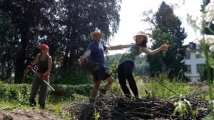 permaculture, workaway, wwoof, organic farm, wwoofers, voluntourists, workawayers