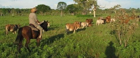 workaway, helpx, ranch, australia, horse riding, horses, wwoof, derby, kimberley