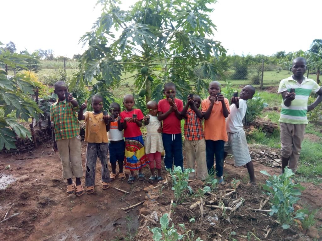 organic farm kenya, community, eco village, permaculture