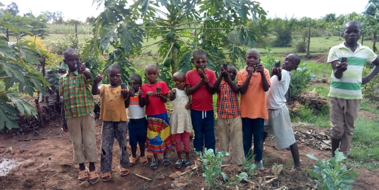 Group of Kenyan children standing in a small vegetable garden, proudly holding seedlings in front of papaya trees at a rural permaculture project in Homa Bay, Kenya