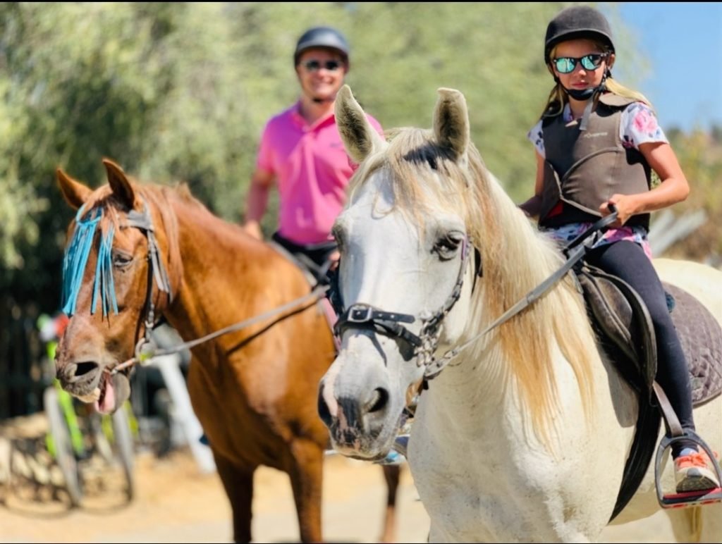 work exchange, hospitality exchange, swap, volunteering, wwoof, ranch, horses, farm, spain, Estepona