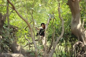 Nature Womb, volunteer opportunity, India