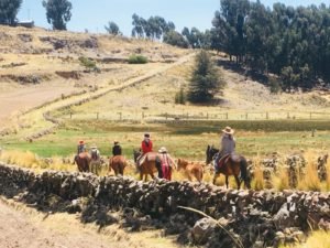 ranch, volunteering, horses, volunteer, horsemanship, horses, ride, learn how to ride, volunteer programs, peru