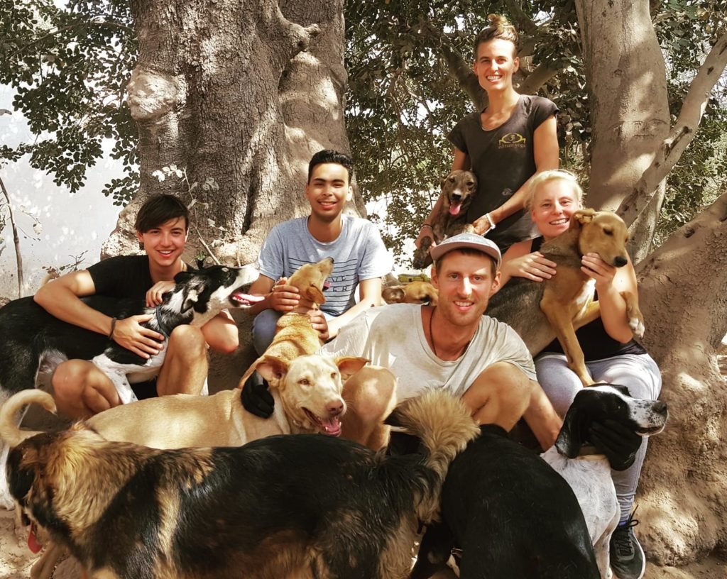 volunteers, animal shelter, animal sanctuary, Morocco, volunteering, voluntouring, voluntourism, opportunities, free project abroad, free volunteering, animal activists. food and accommodation, food and shelter