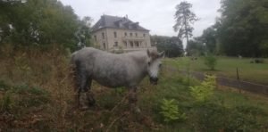 Castle exchange, live in a castle, workaway, helpx, hospitality exchange, volunteering, volunteers, voluntouring, France, Paris