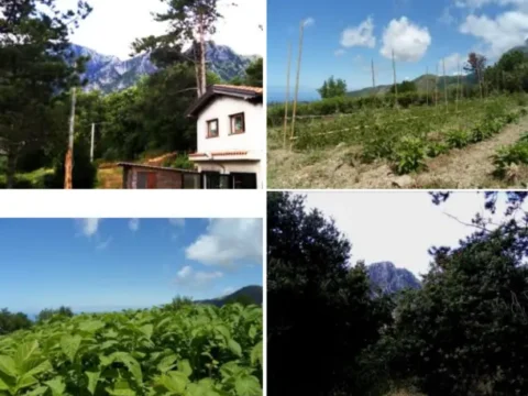 Organic farm and eco-house surrounded by mountains and forest in Calabria, Italy – volunteer project with sustainable agriculture and scenic nature views