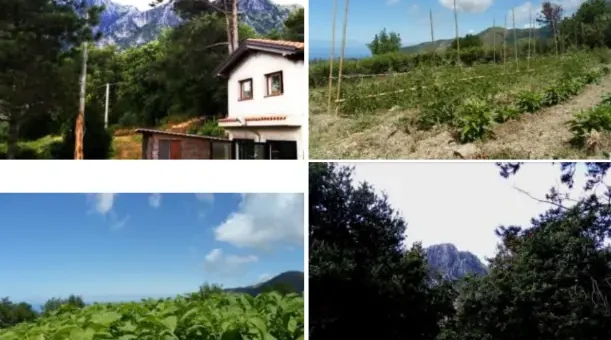 Organic farm and eco-house surrounded by mountains and forest in Calabria, Italy โ volunteer project with sustainable agriculture and scenic nature views