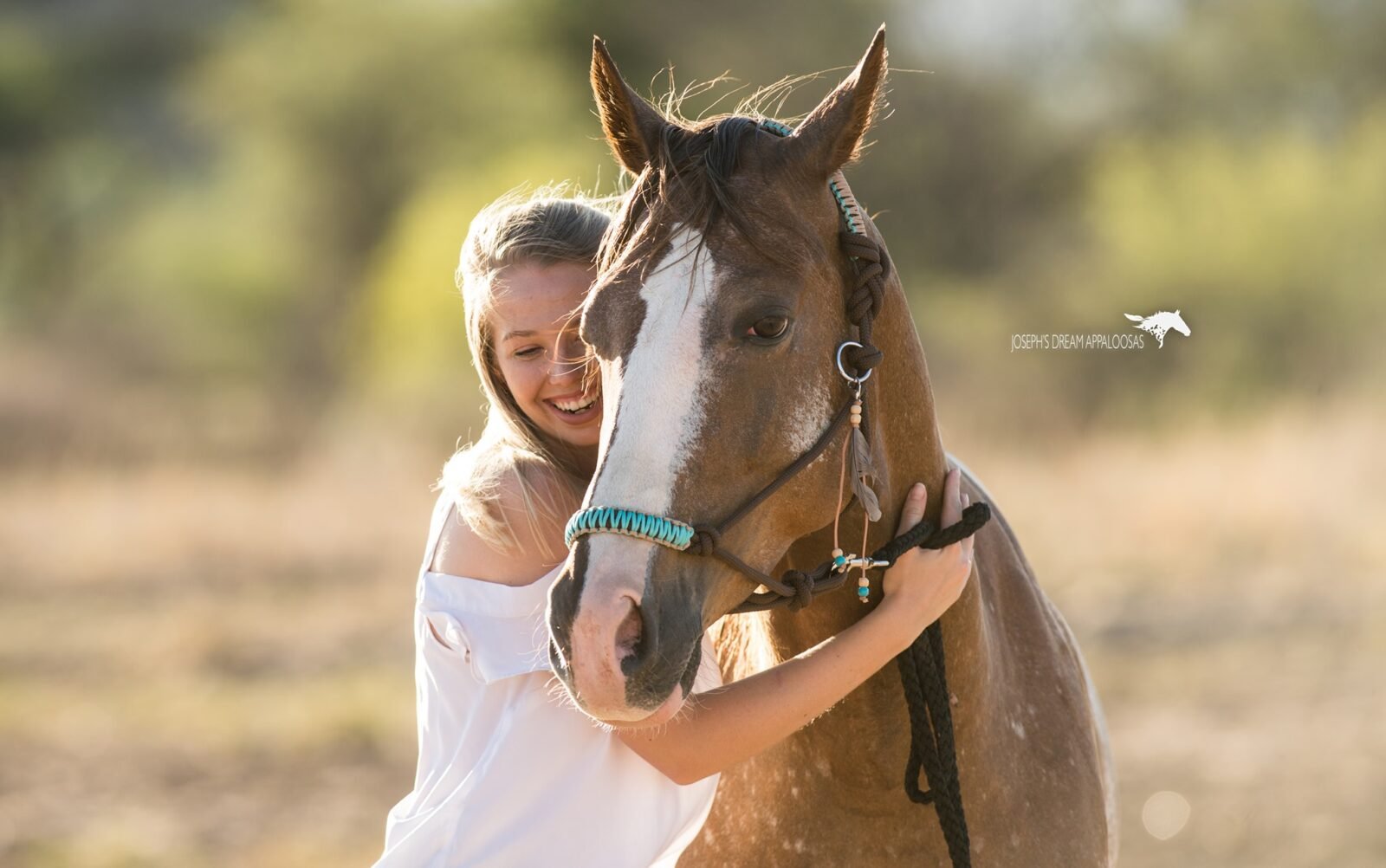 natural horsemanship, horse ranch, horse sanctuary, Namibia, Africa, volunteer, volunteering, volunteer program, volunteers, voluntouring, voluntourism,