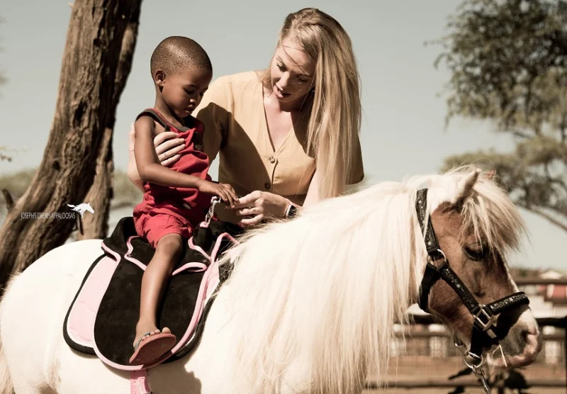 Namibia, horses, Joseph's Dream