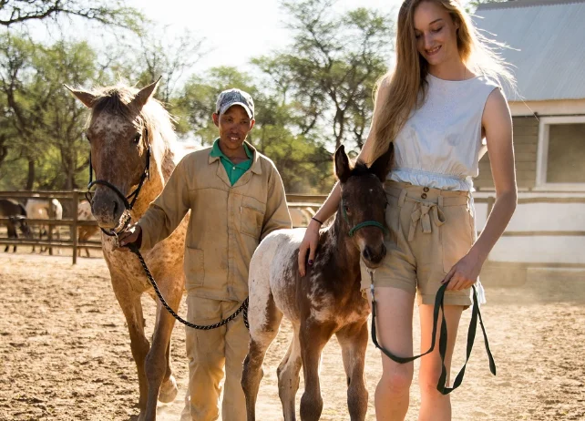 Namibia, horses, Joseph's Dream