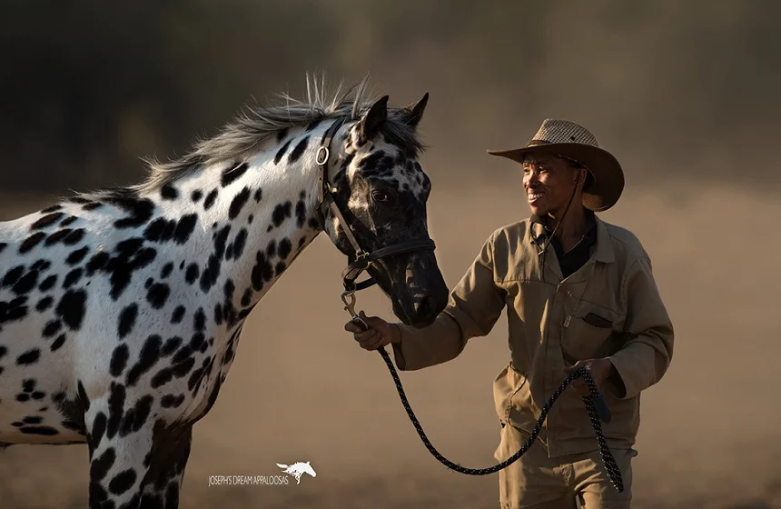 Namibia, horses, Joseph's Dream