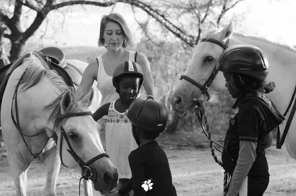 Namibia, horses, Joseph's Dream