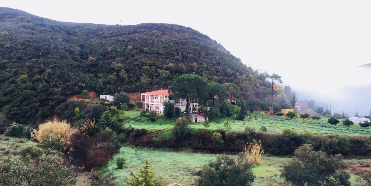 A hillside landscape in rural Portugal with a farmhouse in the distance, surrounded by green fields and trees. Rolling hills rise behind the property under a pale sky.