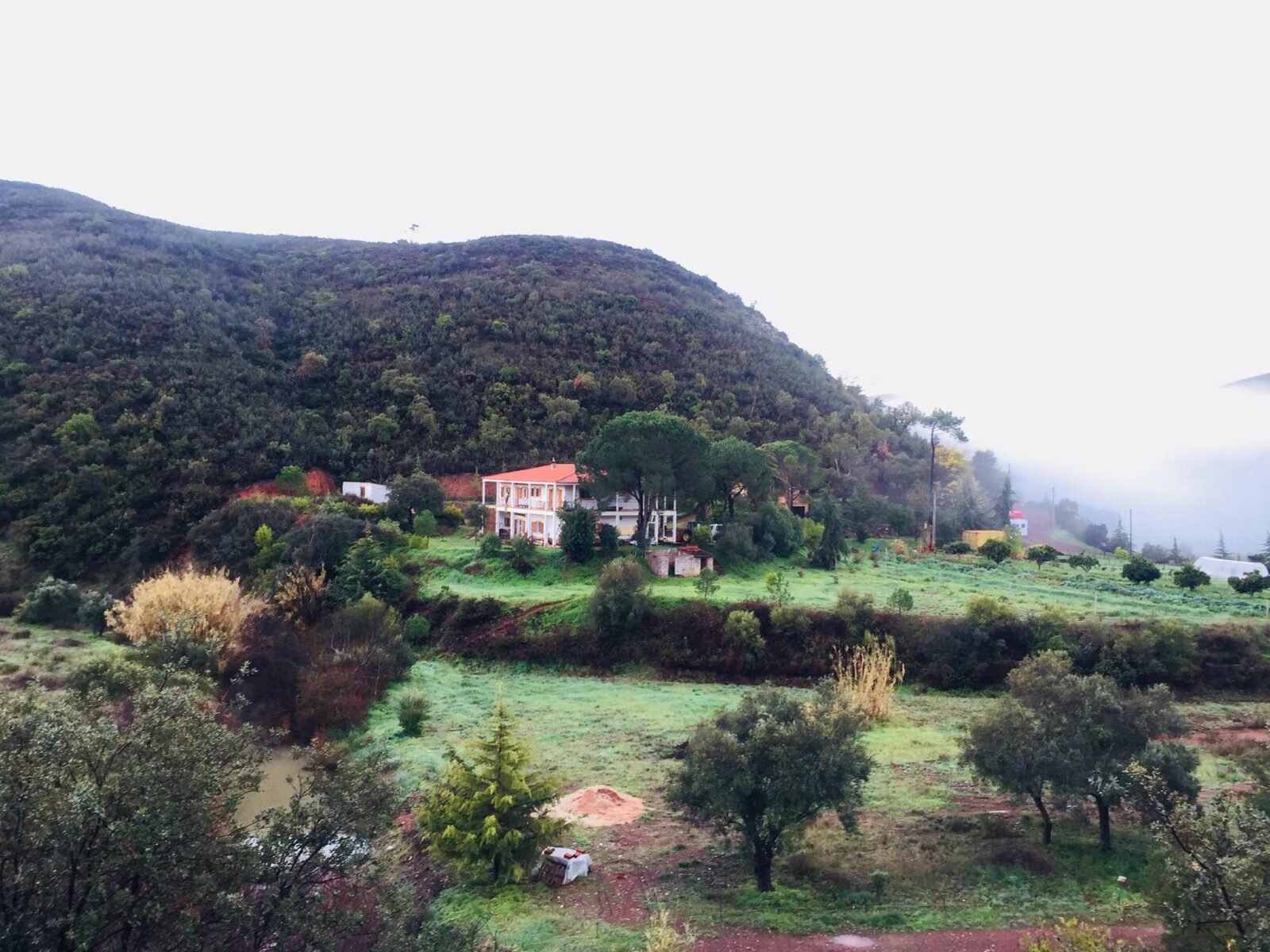 food and accommodation, spirituality, eco-village, intentional community, eco communities, portugal, new age, retreat