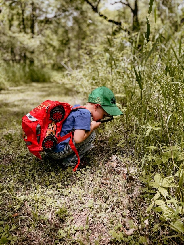 worldschooling, communities, project, food and accommodation, volunteering, volunteer, voluntouring, voluntourism, exchange, travelling, nomad, families