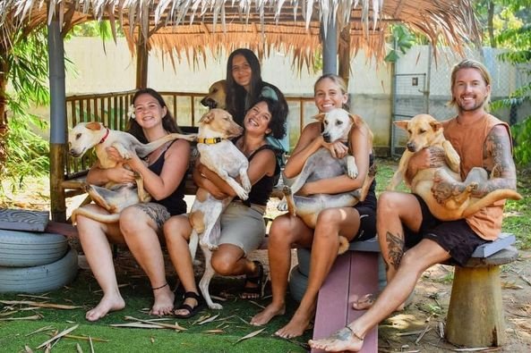 food, accommodation, lodge, hospitality exchange, dog sitting, Thailand, program, alternative ways of travelling, voluntourism, voluntouring, free