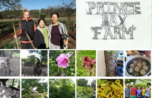 organic farm, medieval, pagan, self sufficiency, USA