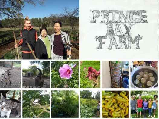organic farm, medieval, pagan, self sufficiency, USA
