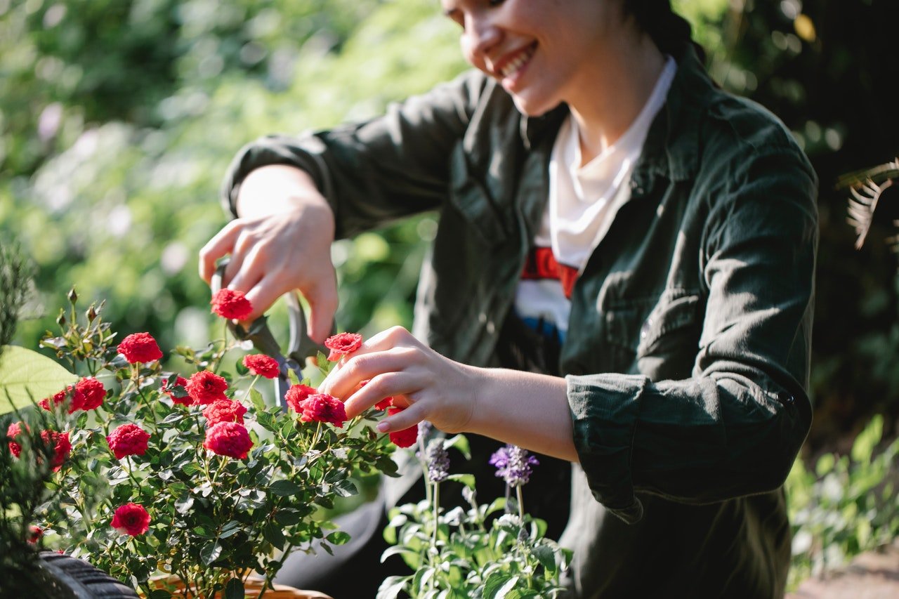 organic farm, flowers, volunteer projects, wwoof, wwoofing, helpx, workaway, voluntouring, voluntourism