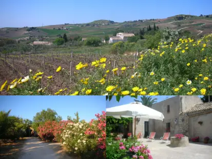 Sicily, hospitality exchange, bed and breakfast, guest, room and board, case colomba