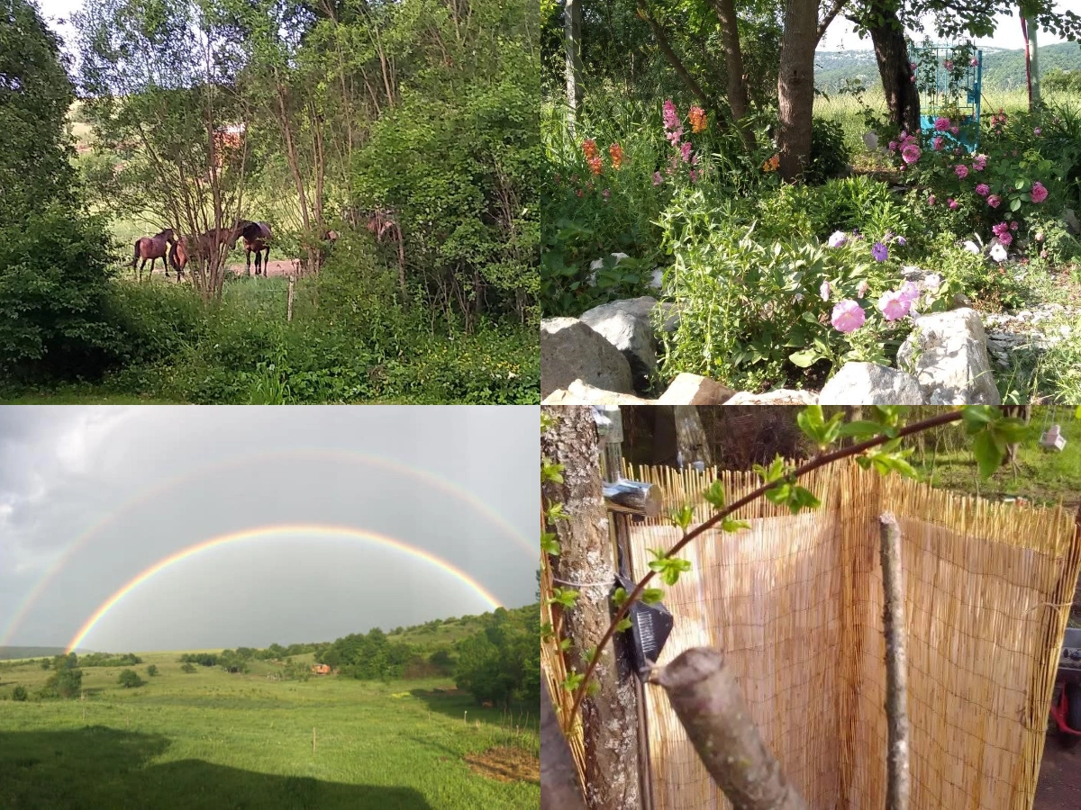 volunteer opportunity, camping, glamping, Bulgaria, food and accommodation, workcamping