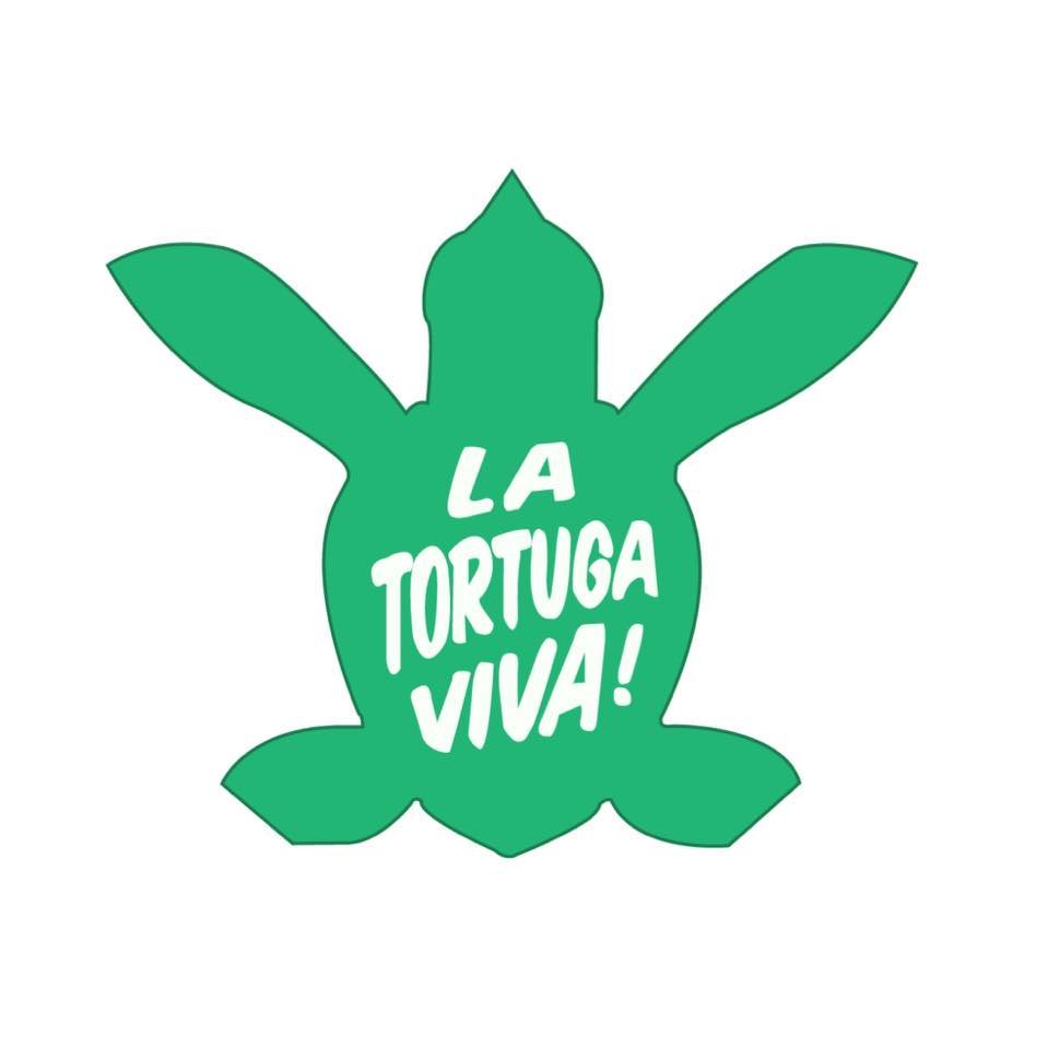 Mexico, turtle, animal, volunteer program